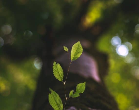 Career Growth and the Product Manager