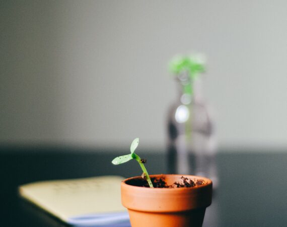 growth
