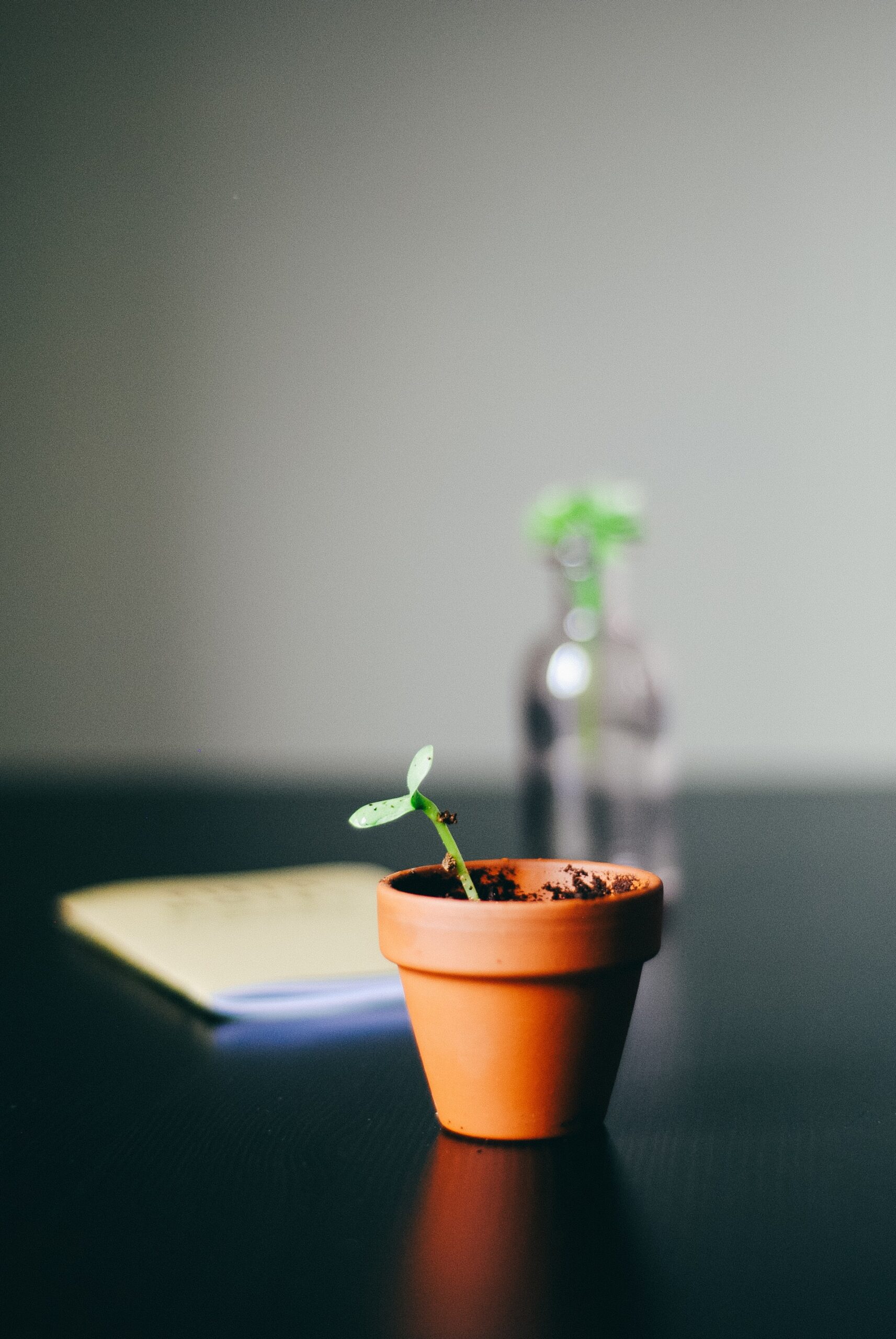 growth