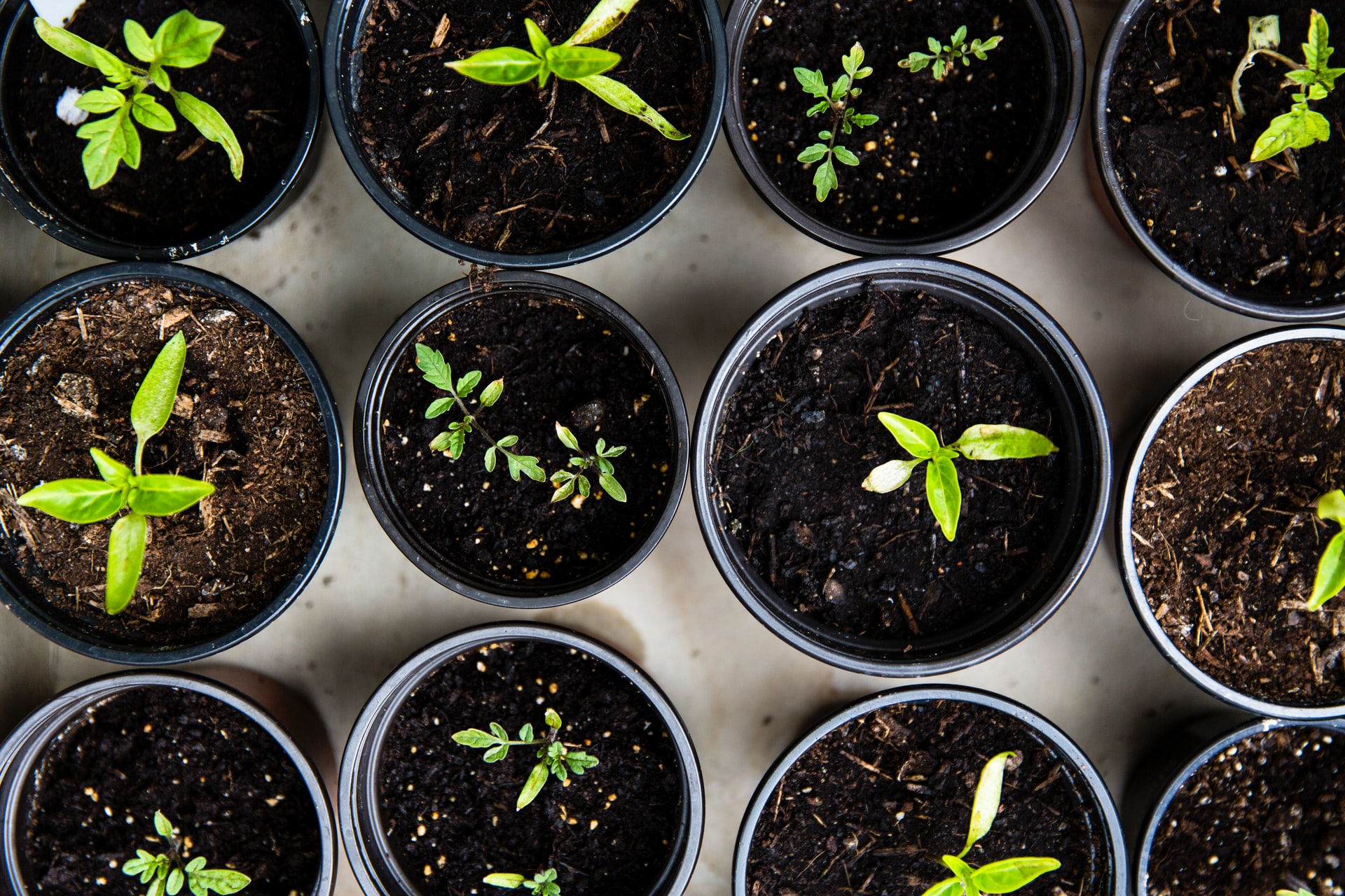 infusionsoft supporting small business growth