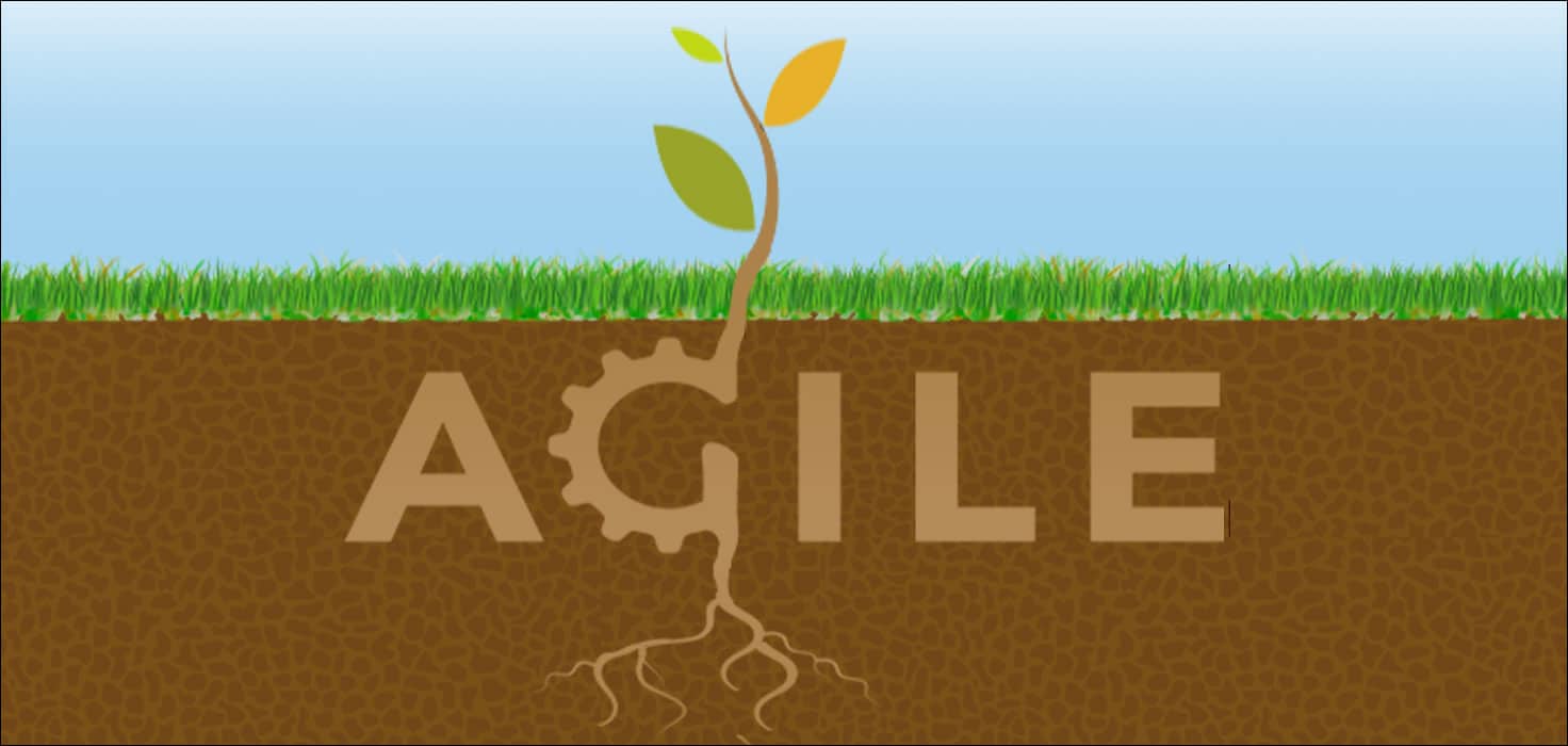 rootsagile_20170719163345_0