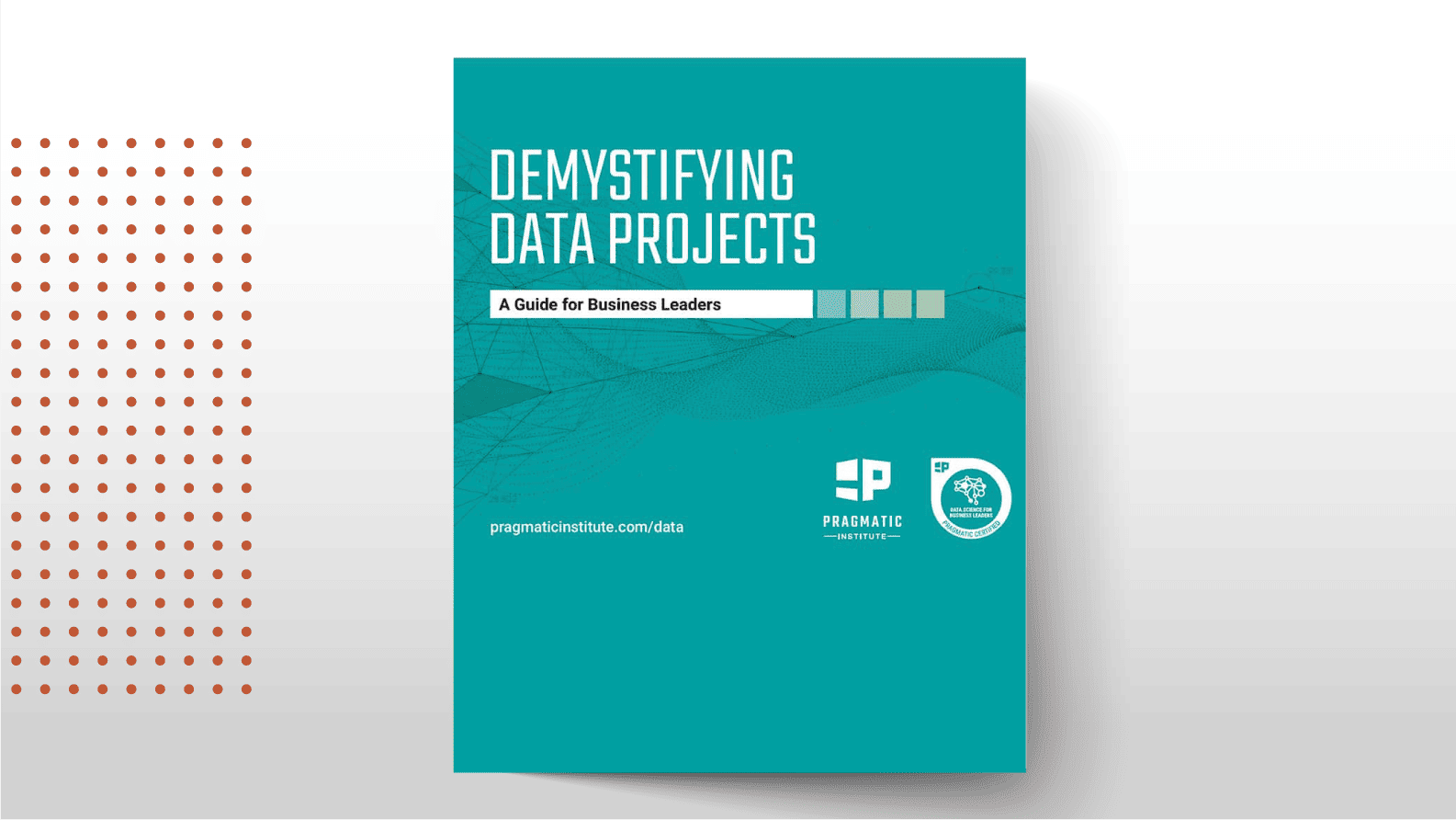 Demystifying Data Projects