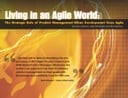 Living in an Agile World Business E-Book