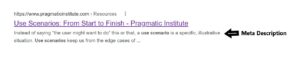 Example of a Meta Description