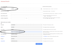 Google advanced search box