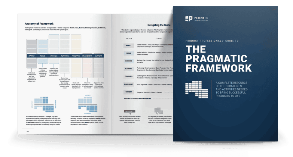 Pragmatic Framework ebook cover